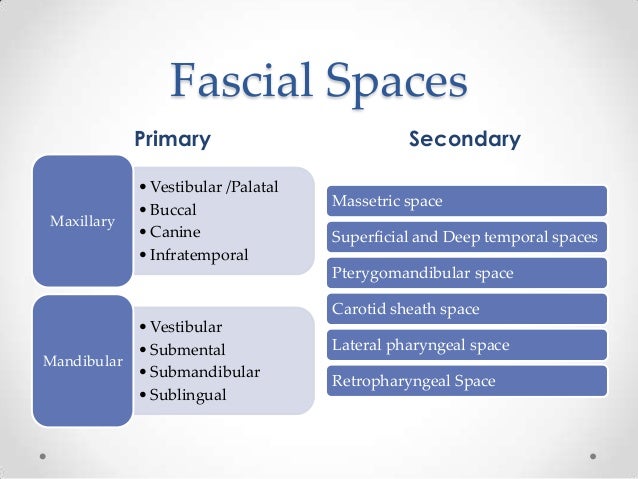 Facial space infections Janet jackson superbowl boob flash